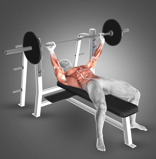 Gym Features